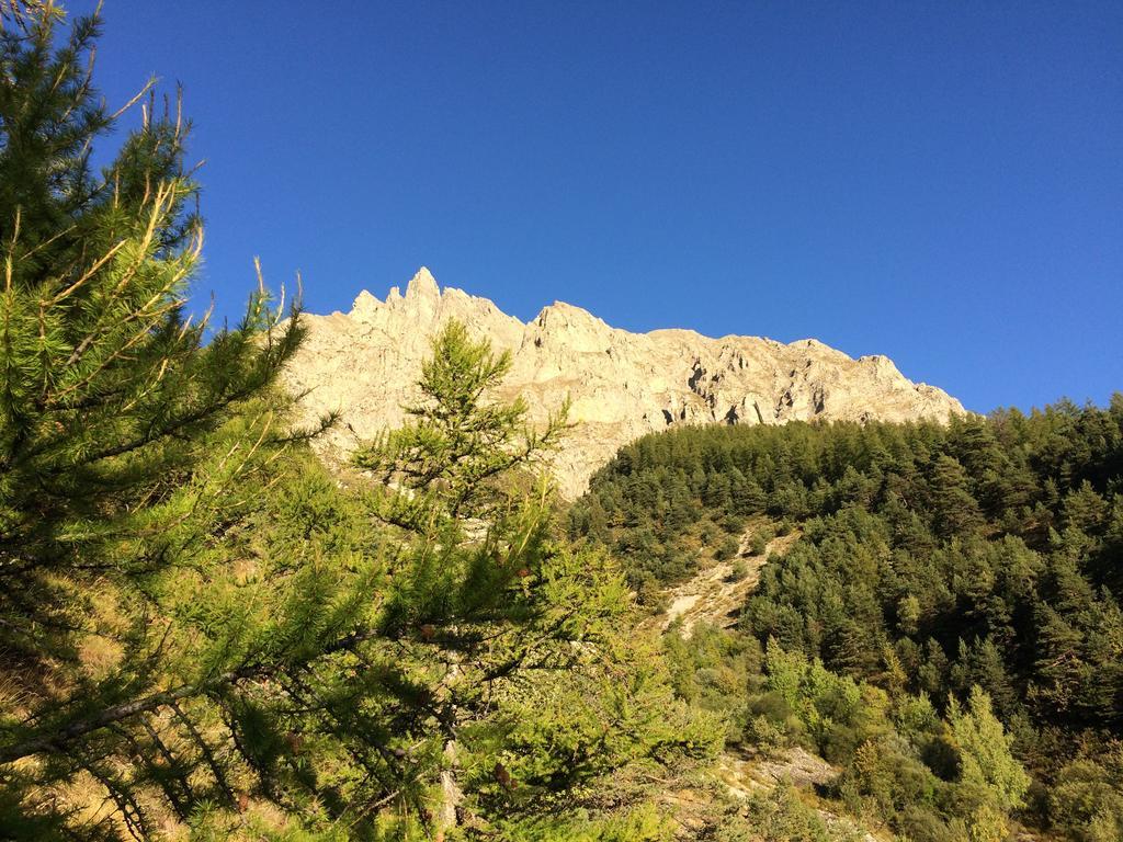 Gite Le Pelens Saint-Martin-dʼEntraunes エクステリア 写真